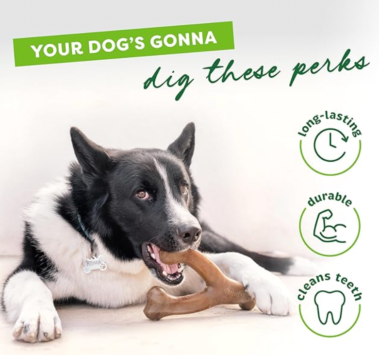 The Indestructi-Bone