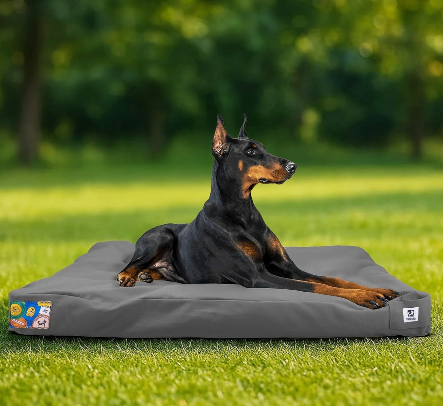 Canvas Indestructible Outdoor Dog Bed