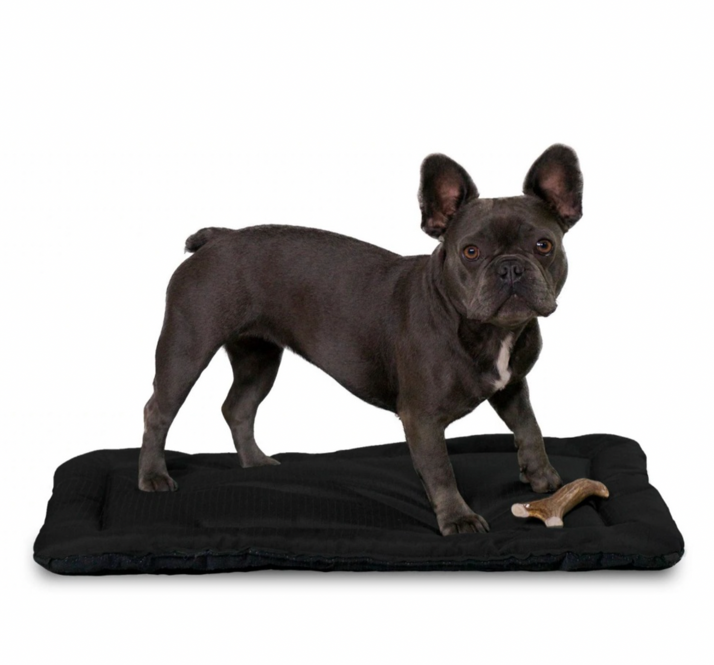 Chew Resistant crate pad