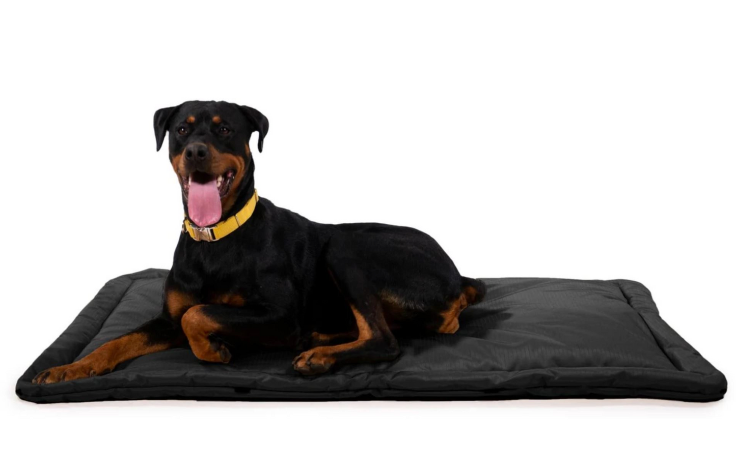 Chew Resistant crate pad