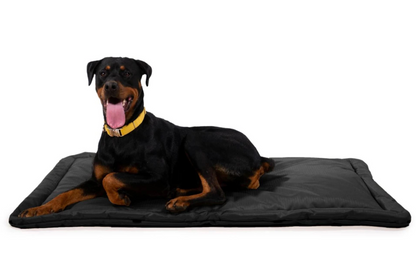 Chew Resistant crate pad