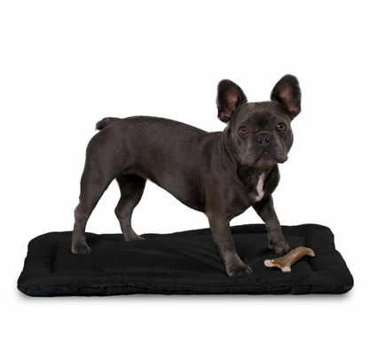 Chew Resistant crate pad