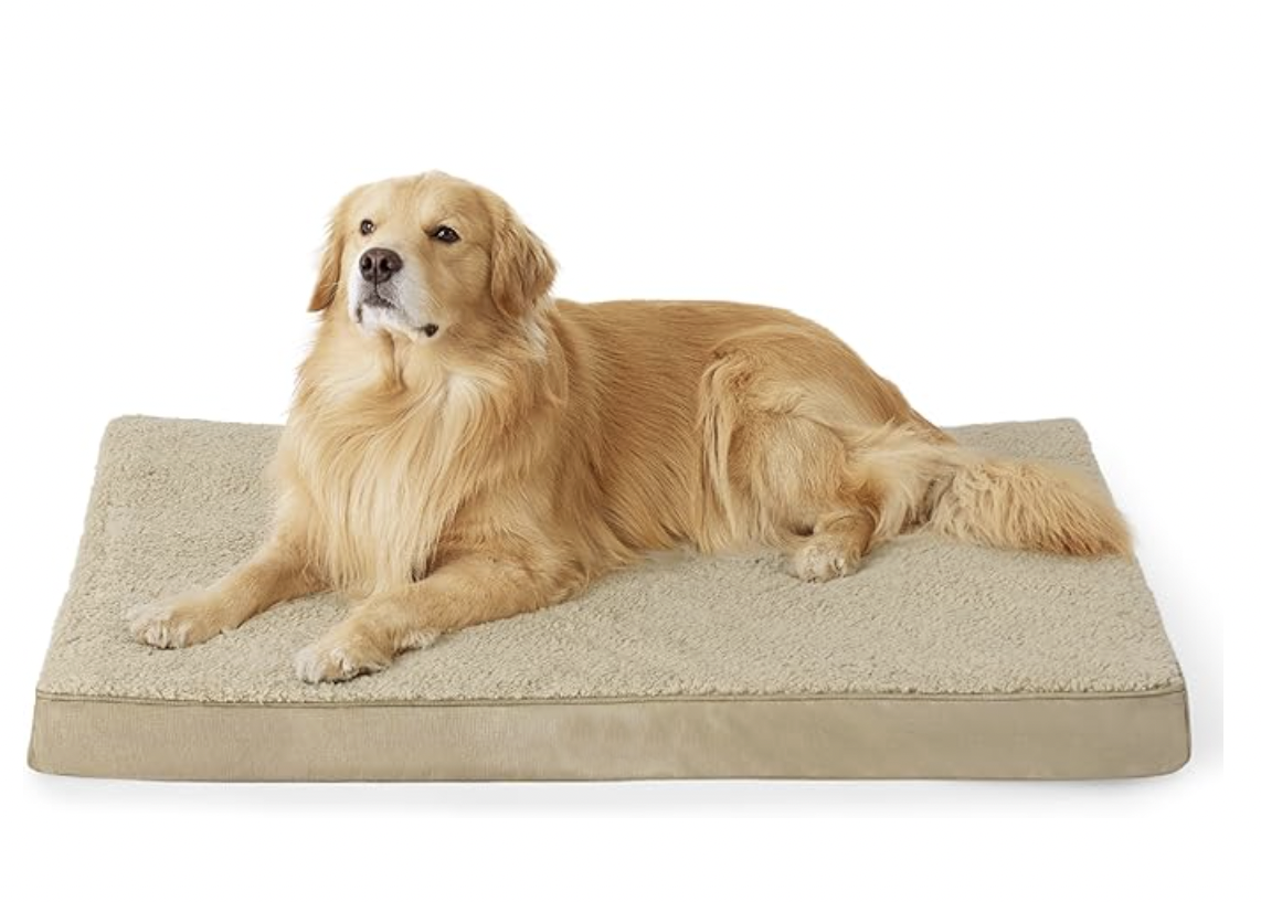 dog bed for chewers