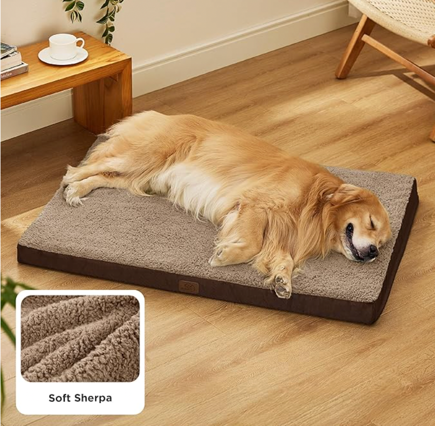 durable dog bed lifetime guarantee