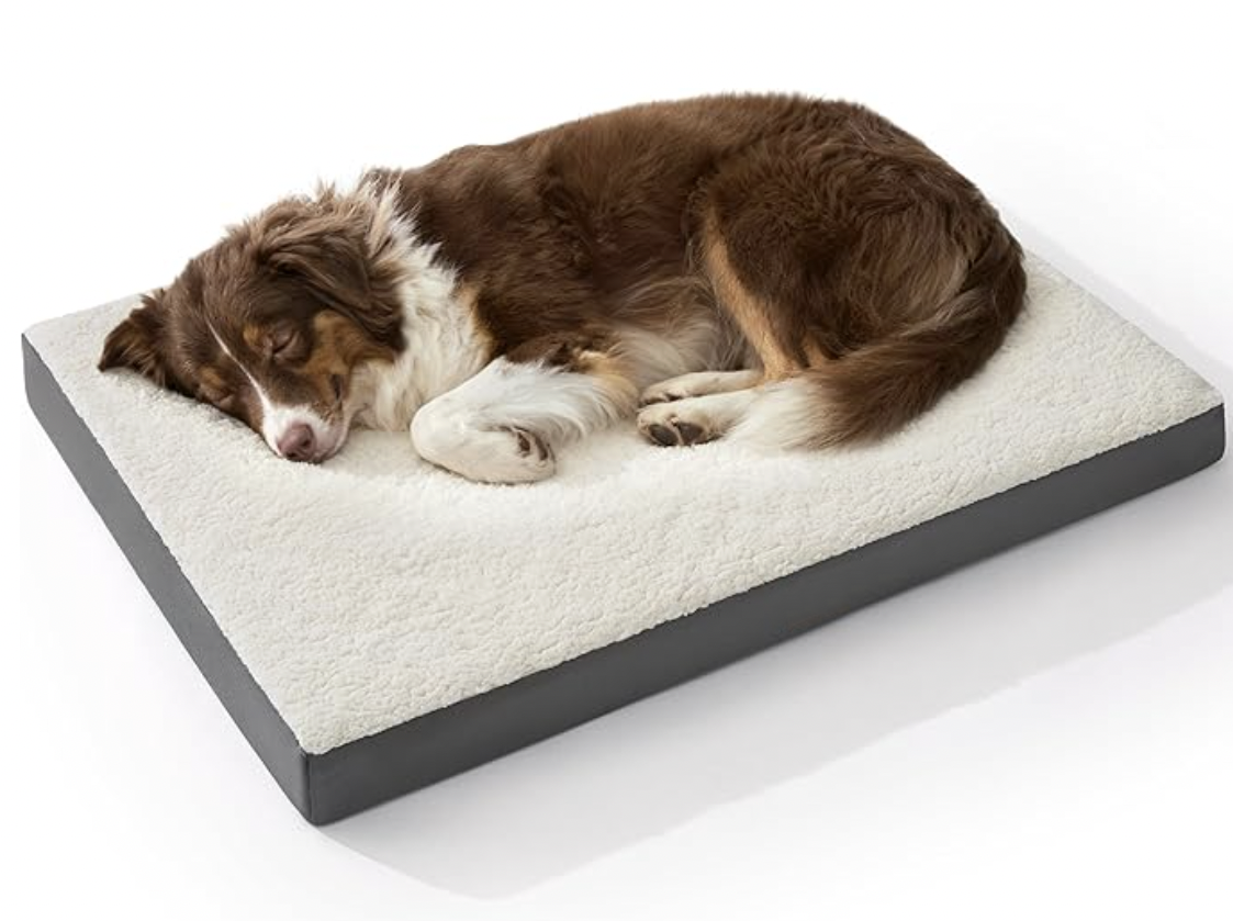 chew resistant dog bed