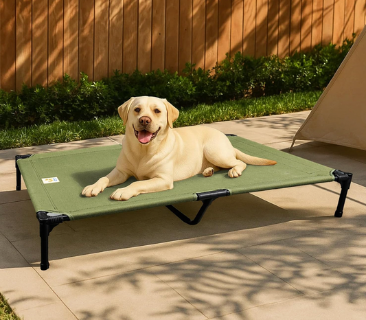 Elevated Dog Bed